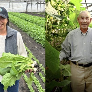 Screenshot 2025 06 05 At 12.57.18 pm 1